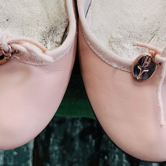 Repetto Cecile Embellished Ballet Flat - Picture 7 of 13